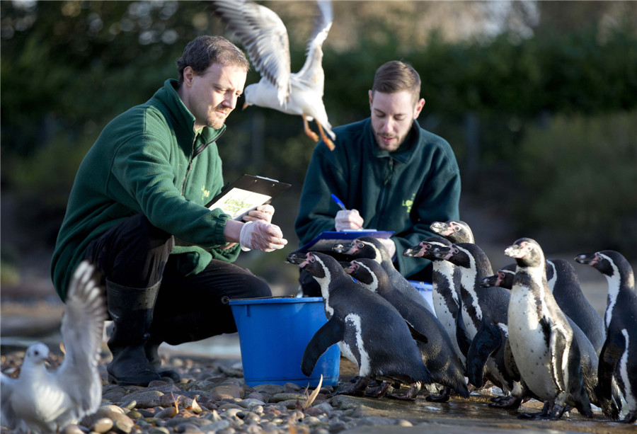 Animal stocktake at UK zoos