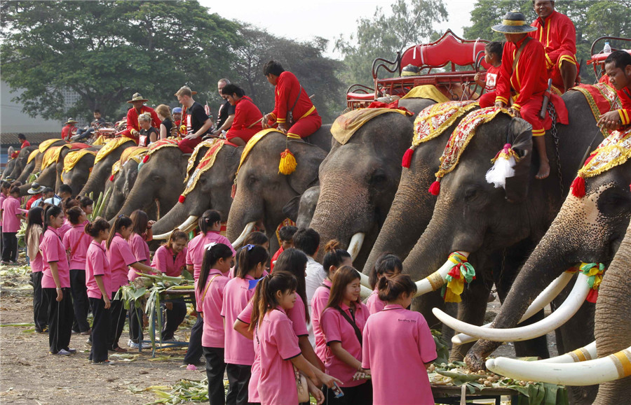 National Elephant Day in Thailand