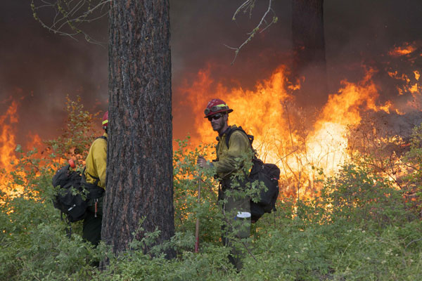 Washington state wildfire destroys 100 homes, hundreds evacuate