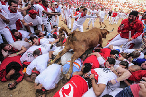 Annual elephant polo tournament kicks off in Thailand