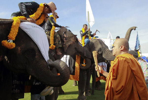 Annual elephant polo tournament kicks off in Thailand