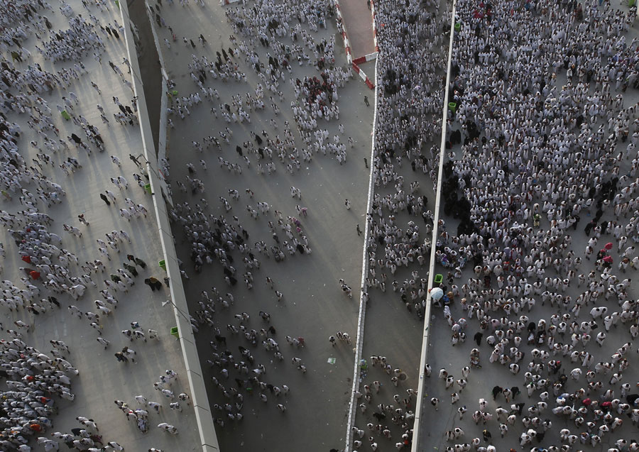 More than 700 pilgrims killed in crush in worst hajj disaster for 25 years