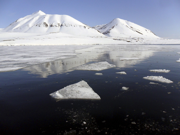 Arctic sea ice falls to record low level