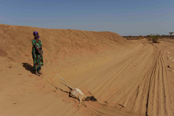 Failed rains, prolong drought pushes Somali communities to the brink