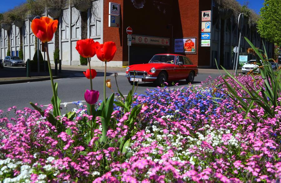 Flowers in full bloom in Brussels, Belgium