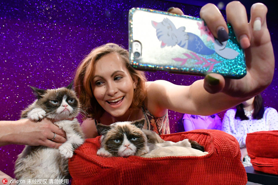 Grumpy Cat welcomes her animatronic figure in Madame Tussauds London