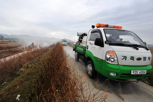 Eggs in short supply as South Korea battles worst bird flu outbreak