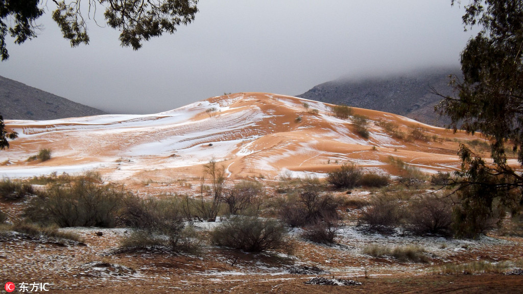 Sahara Desert with snow