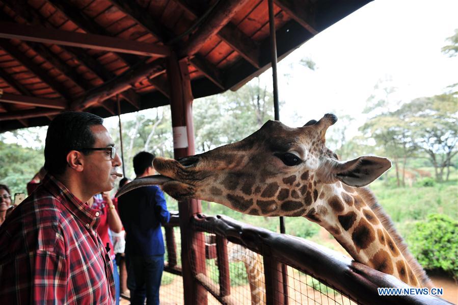 Tourists visit giraffe Center in Kenya