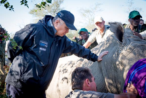 Chinese connoisseur speaks out against rhino horn collectables