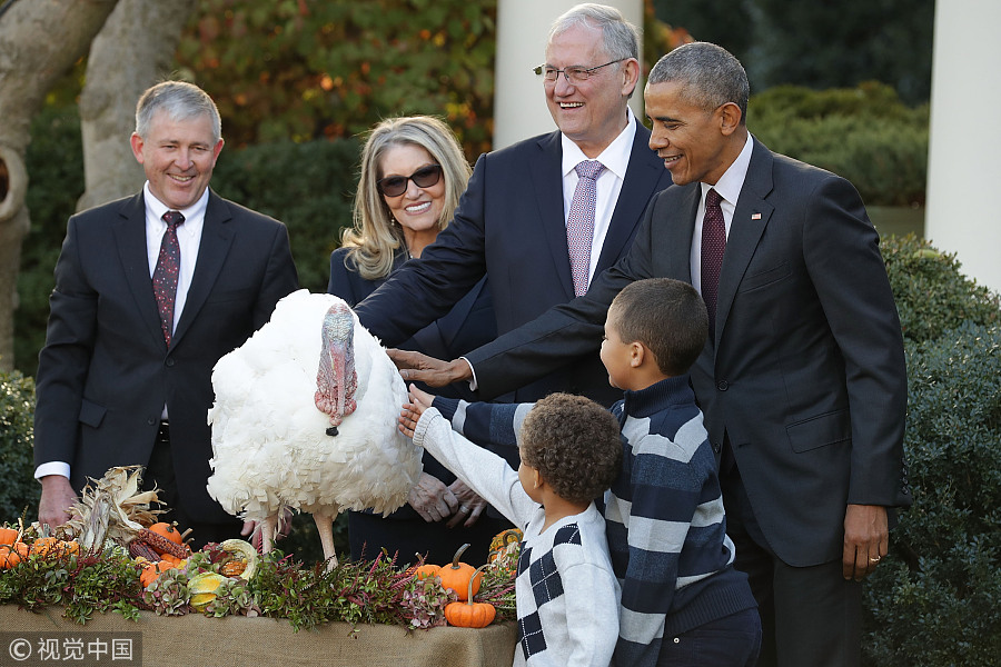 Thanksgiving story: US presidents and pardoned turkeys