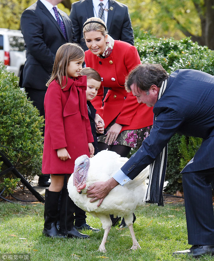 Thanksgiving story: US presidents and pardoned turkeys